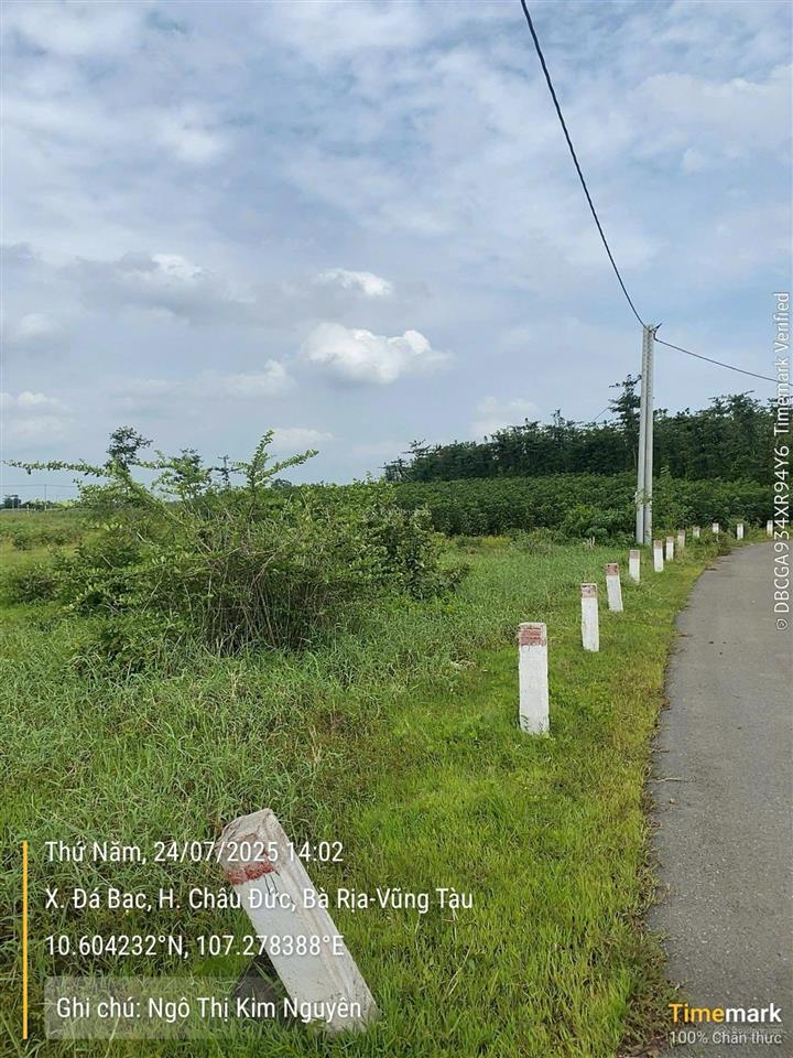 Thông báo đấu giá tài sản công ty đấu giá hợp danh lam sơn sài gòn