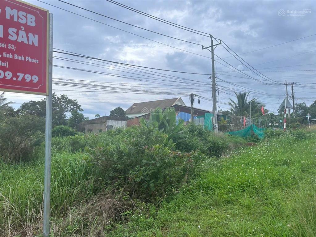 Thông báo đấu giá tài sản công ty đấu giá hợp danh lam sơn sài gòn