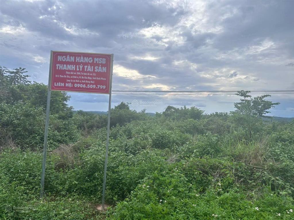 Thông báo đấu giá tài sản công ty đấu giá hợp danh lam sơn sài gòn