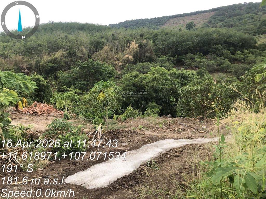 Thông báo đấu giá tài sản công ty đấu giá hợp danh lam sơn sài gòn