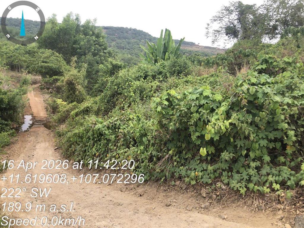 Thông báo đấu giá tài sản công ty đấu giá hợp danh lam sơn sài gòn