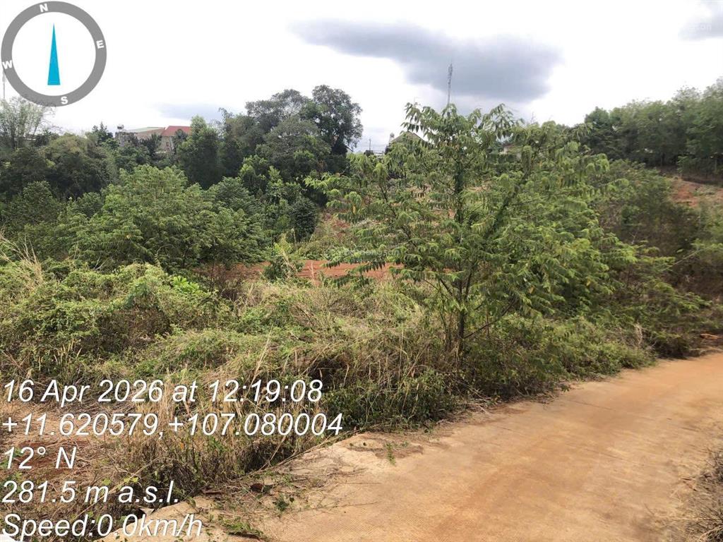 Thông báo đấu giá tài sản công ty đấu giá hợp danh lam sơn sài gòn