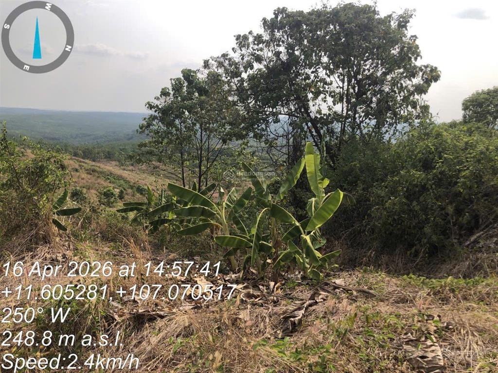 Thông báo đấu giá tài sản công ty đấu giá hợp danh lam sơn sài gòn