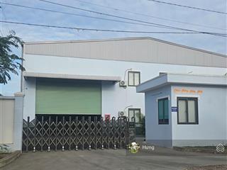 Bán nhà xưởng mới xd đang có thu nhập 173tr/tháng, kcn đức hòa tiếp giáp vành đai 4