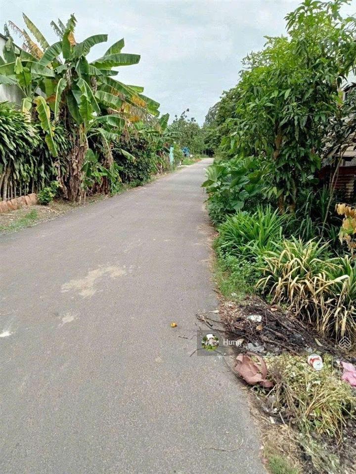 Ngộp hạ giá bán gấp đất thổ cư 2 mt qh đường phạm văn cội nối dài, giá cực tốt