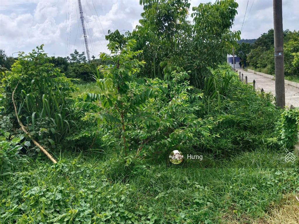 Bán đất thổ cư mt bến đình, giá ngộp cần bán gấp