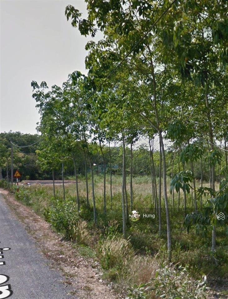 Bán đất có thổ cư mt đào thị thơm, giá ngộp bank cần bán gấp