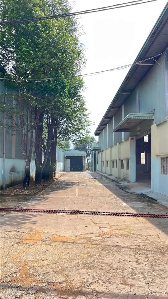 Cho thuê xưởng tân uyên đã hoàn công, pccc chuẩn, trạm điện 560kva