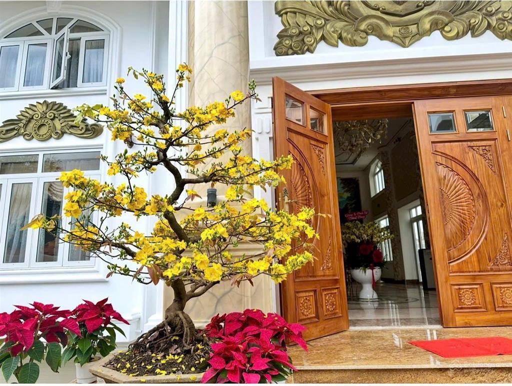 Bán biệt thự nằm trong khu vip nhất đại phú gia, quy nhơn, dt 400m2, giá 40 tỷ còn thương lượng