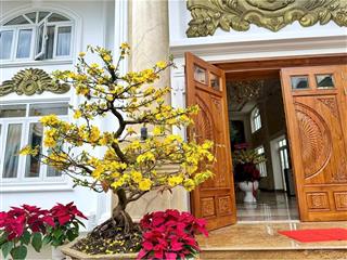 Bán biệt thự nằm trong khu vip nhất đại phú gia, quy nhơn, dt 400m2, giá 40 tỷ còn thương lượng
