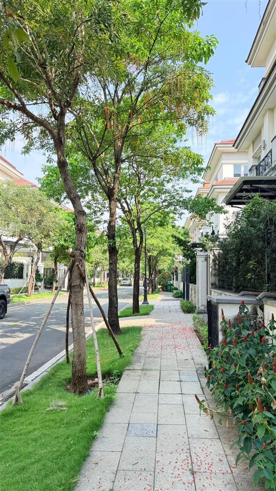 Bán đất view 2 mặt tiền, view trực diện sông 933m2  thảo điền quận 2 chỉ 260 tỷ