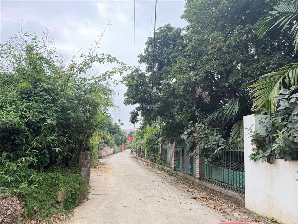 Bán mảnh đất nằm trên trục chính rộng 275m2, thổ cư 150m2 tại thôn bài, yên bài, hà nội