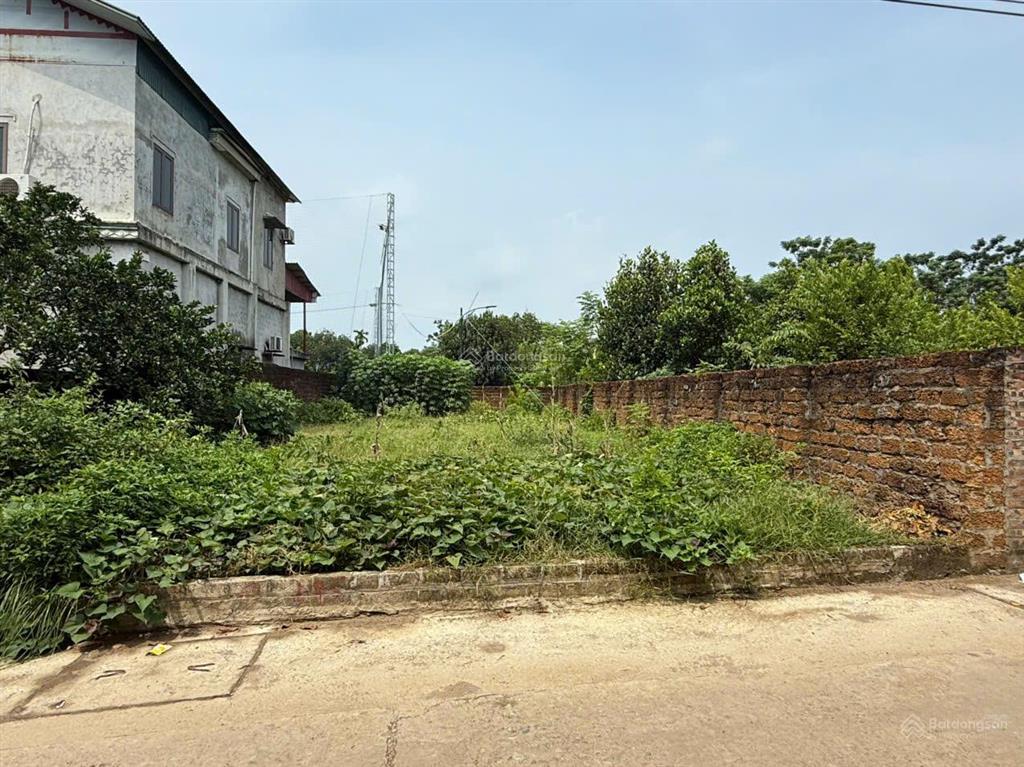Bán lô đất 252,4m2, thổ cư lên tới 200m2 tại thôn bình yên 2, xã hạ bằng, hà nội