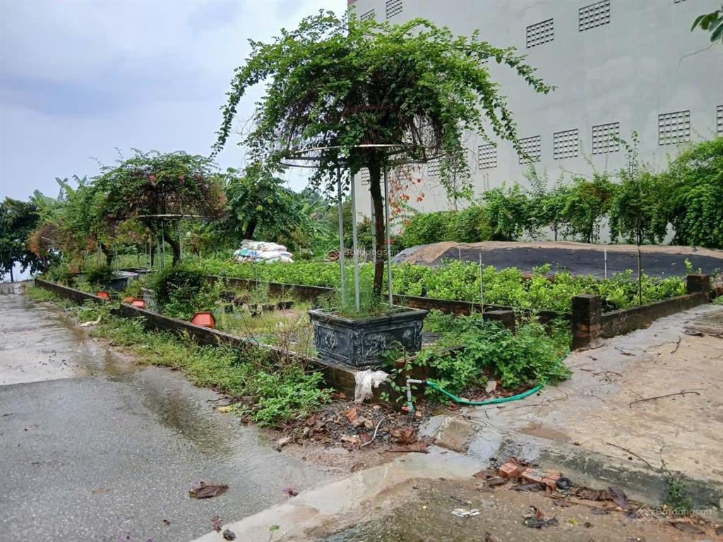 Bán gấp! lô đất rộng 94,3m2, 100% thổ cư đường hv phòng không, phường tùng thiện, hà nội