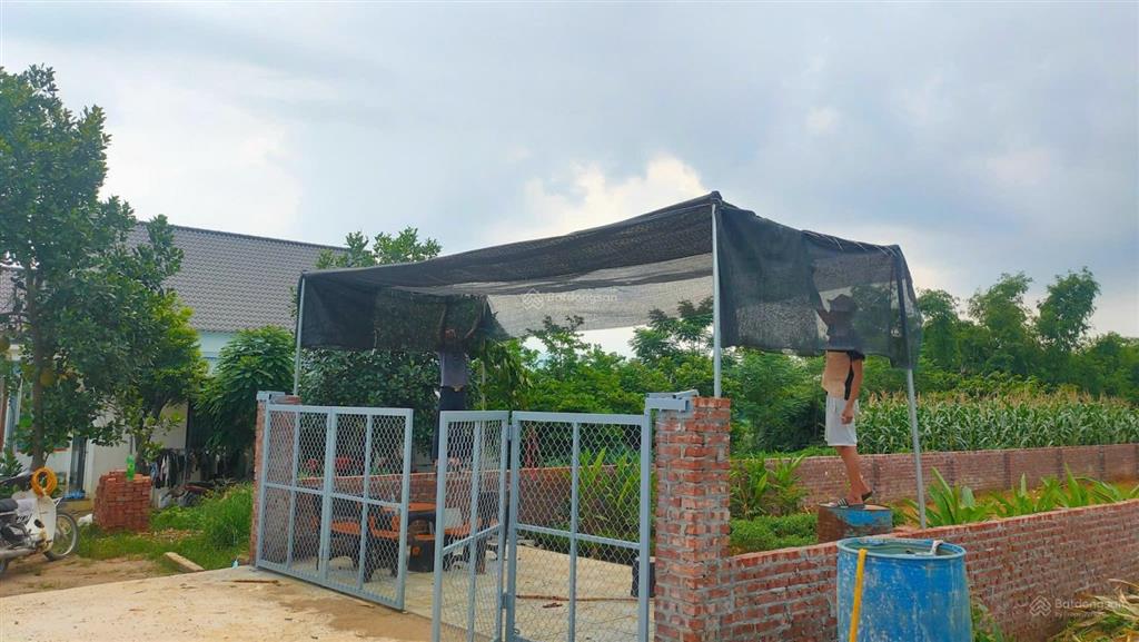 Bán gấp lô đất rộng 252,3m2 tại thôn bạch thạch,xã hòa thạch,huyện quốc oai, hà nội