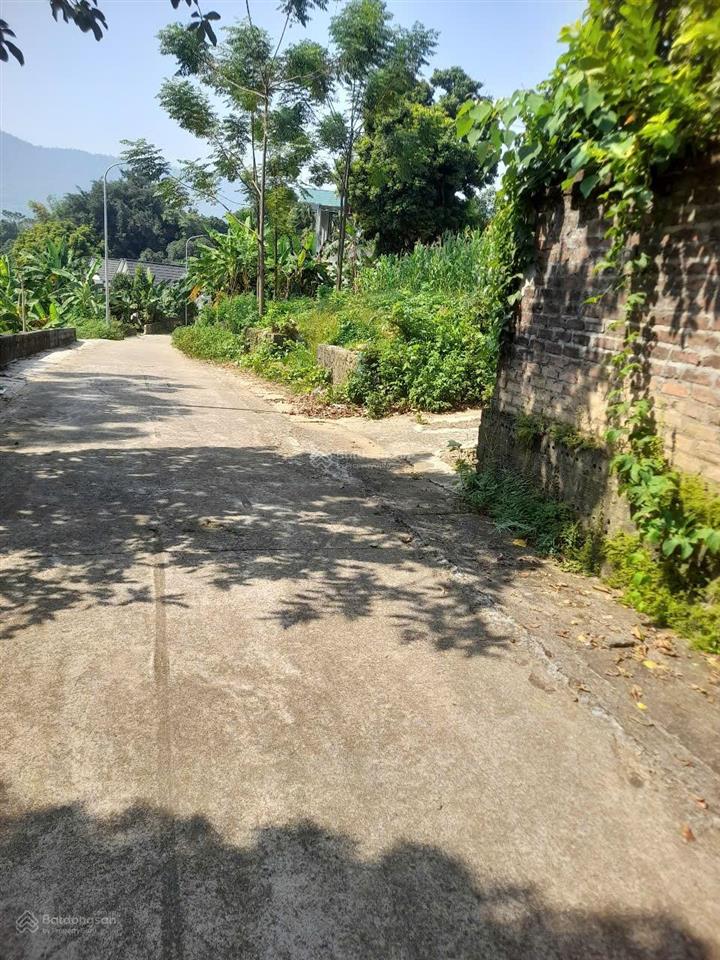 Bán lô đất 352,1m2 (thổ cư 100m2) tại thôn cổ rùa, xã phú mãn, huyện quốc oai, hà nội