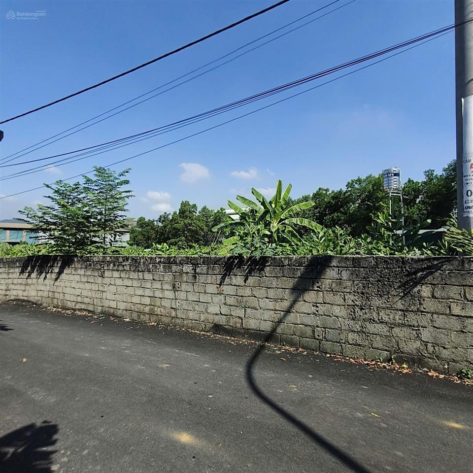 Bán đất 813.2m2 tại cổ rùa, xã phú mãn, quốc oai, hà nội
