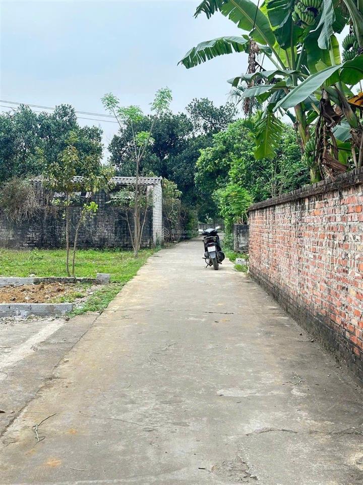 Bán 100 m tại trại hồ, cổ đông, sơn tây, hà nội