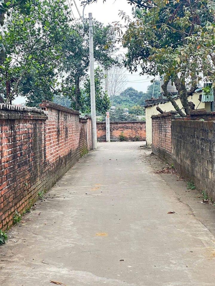 Bán 100 m tại trại hồ, cổ đông, sơn tây, hà nội