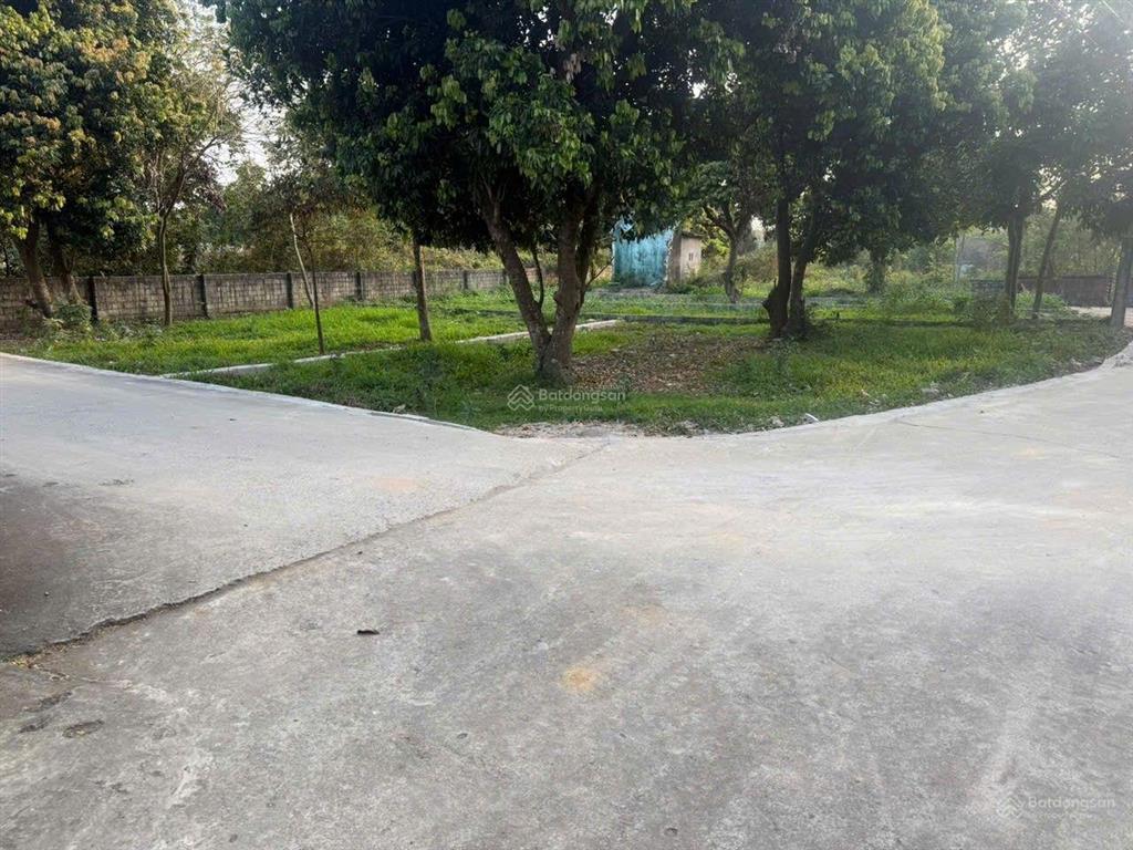 Chủ cần tiền trả ngân hàng bán gấp lô góc 131m2 full thổ cư giá chỉ nhỉnh 20tr/m2