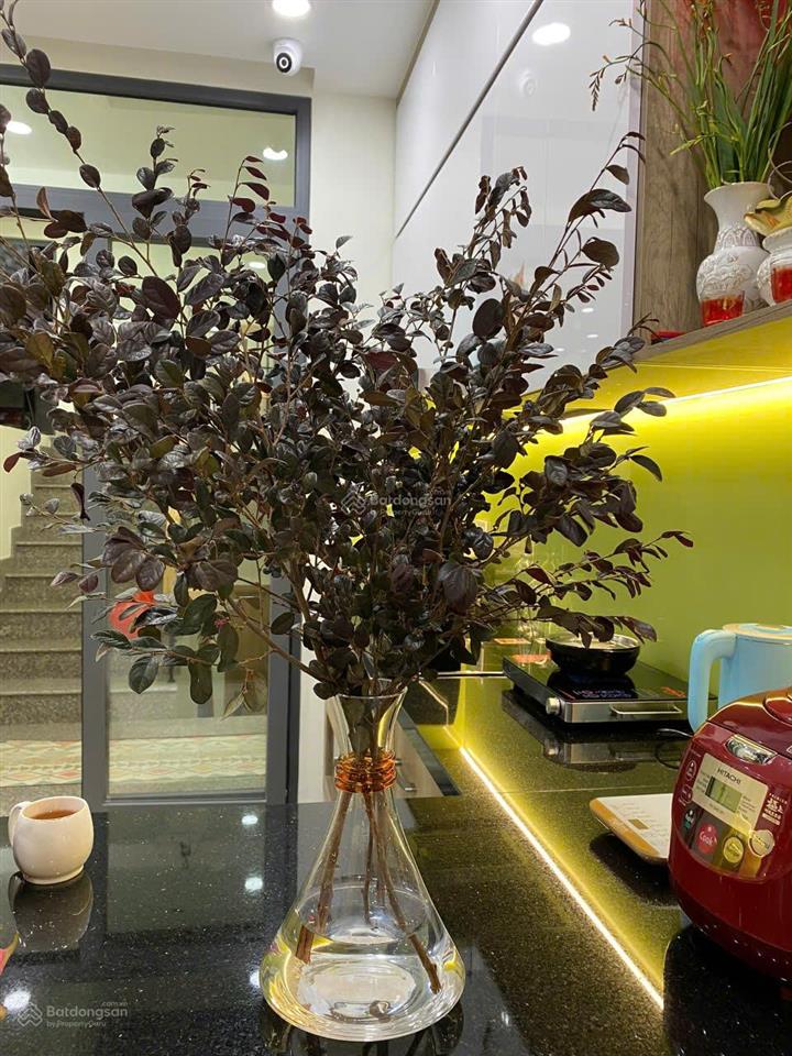 Chính chủ giao dịch nhanh, 4 tầng, đường nhựa 10m công viên trước nhà kdc bình lợi, q. bình thạnh