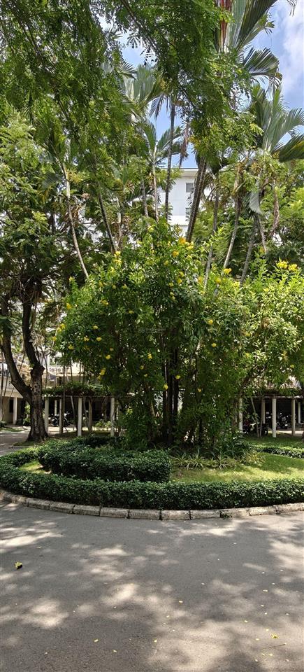 Căn hộ hưng vượng 2  phú mỹ hưng  view xanh mát  giá chỉ nhỉnh 4 tỷ