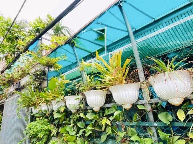 Cơ hội đầu tư đất xây bt vườn quận 7 (rẻ hơn giá hẻm) ngang tới 11.5m, hơn 6 tỷ