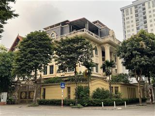 Bán biệt thự lê thanh nghị*phố vọng, 150m2, 4t, mt 25m, gần phố.