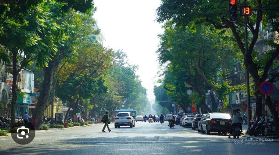 Bán nhà mặt phố trần hưng đạo, 1305m², mặt tiền 24m, xây building/hotel đỉnh!