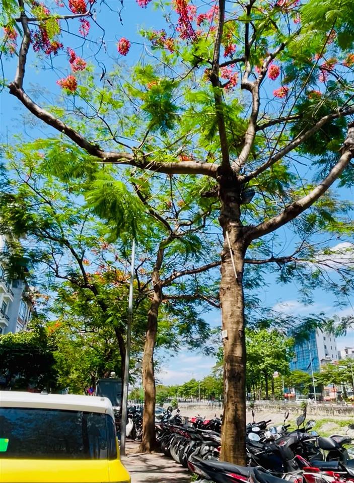 Cần bán gấp! bán nhà mặt phố nguyễn khang*yên hòa, 88m2, 8t, mt 4.5m, view sông tô lịch!