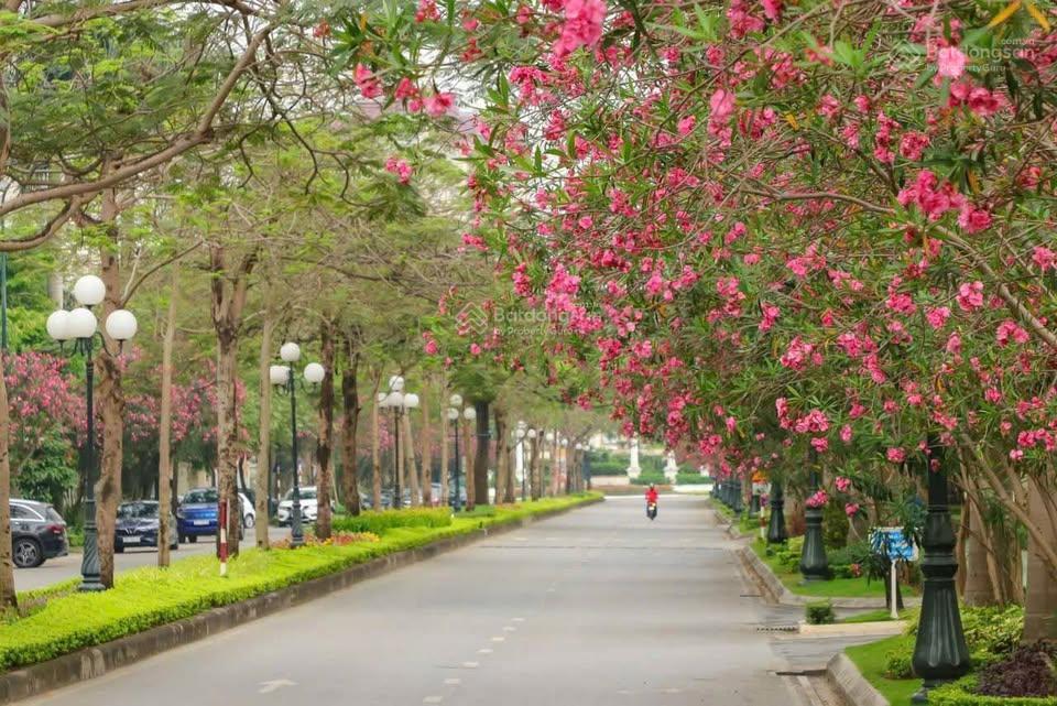 Bán biệt thự ciputra tây hồ, 300m2, 4t, mt 9.6m, không gian sống xanhchất lượng sống cao!