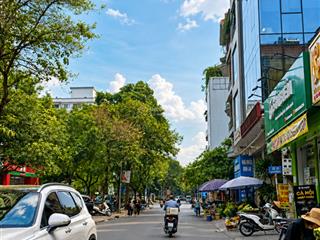 Hạ chào 1 tỷ! bán nhà mặt phố nguyễn đổng chihàm nghi, 84m², 5t, mt 5m, dòng tiền gần 500tr/năm