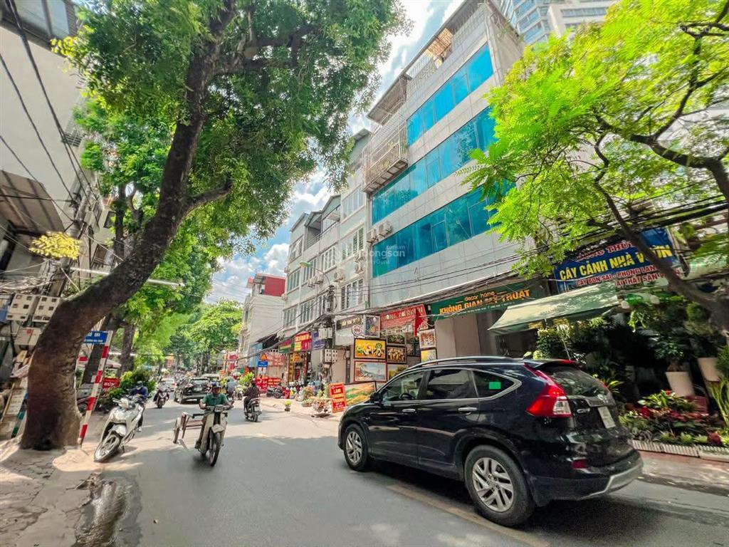 Hiếm! bán nhà mặt phố hoàng hoa thám, 45m2, mặt tiền 6m, ở + kinh doanh đẹp
