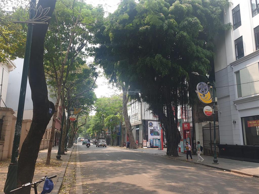 Vvip! bán tòa văn phòng mặt phố tràng thi, 330m2,8t, mt 25m, sổ 50 năm, chuyển nhượng 100% cổ phần.