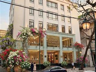 Vvip! bán tòa văn phòng mặt phố tràng thi, 330m2,8t, mt 25m, sổ 50 năm, chuyển nhượng 100% cổ phần.
