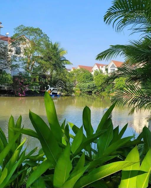 Bán biệt thự đơn lập bằng lăng vinhomes riversides long biên, 500m2, mt 21m, 5t, view sông đẹp!
