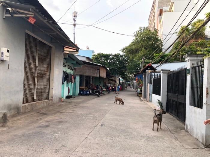 Bán nhà Trương chinh q12 [ 10 x16 ] 3 tầng hxh có dòng tiền chỉ 9 tỷ