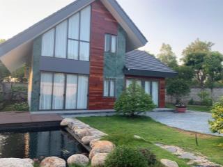 Ngộp bán gấp nền biệt thự 20 x 40 800m2 giá siêu hời