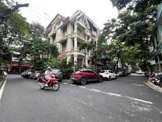 Biệt thự trung tâm mỹ đình, ô tô đỗ ngày đêm, view đẹp, không khí trong lành thoáng mát, giá hời
