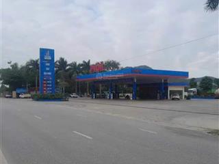 Bán đất thương mại dịch vụ 2.100m²  mặt tiền ql1a, gần cây xăng  hoằng hóa thanh hóa