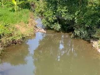 Đất 7000m2 phủ hồng đất ở mua thổ cư thoải mái, suối chảy trước đất