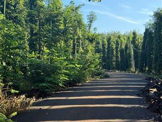 Bán vườn tiêu 1200m2 đường nhựa sát dân cư