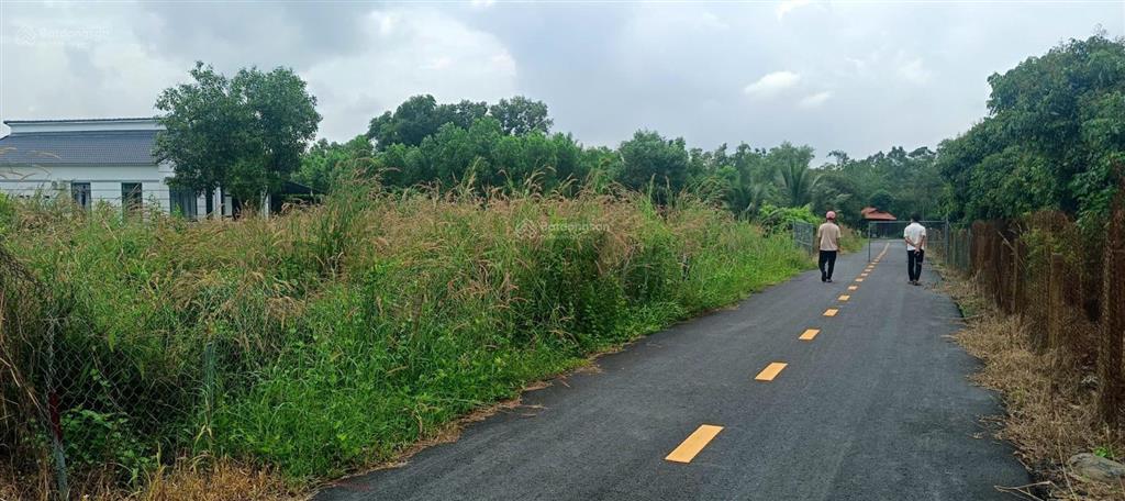 Cần bán lô đất gần hồ bà tô, phước tân, xuyên mộc  xã hồ tràm, tphcm, 10x30m x 80m2 tc giá 1tỷ45