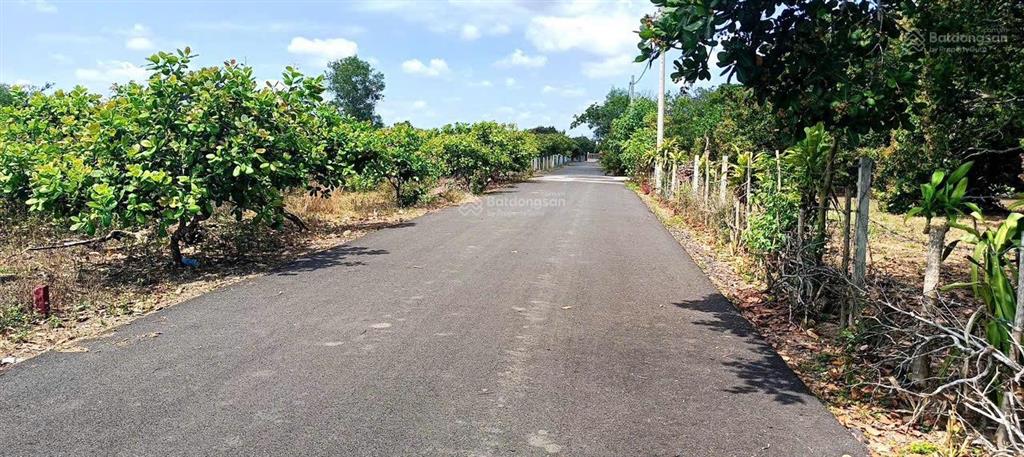 Đất 1000m2 phủ hồng đường nhựa mua thổ cư được bàu lâm tphcm