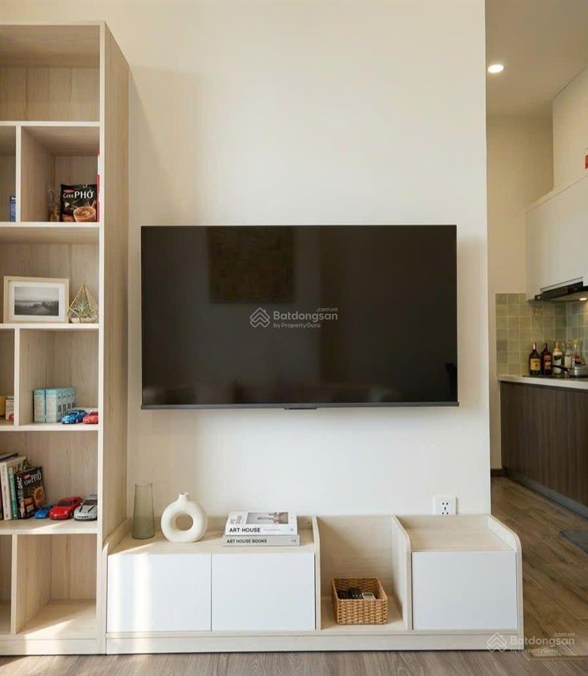 Cho thuê căn hộ full nội thất fpt plaza 3