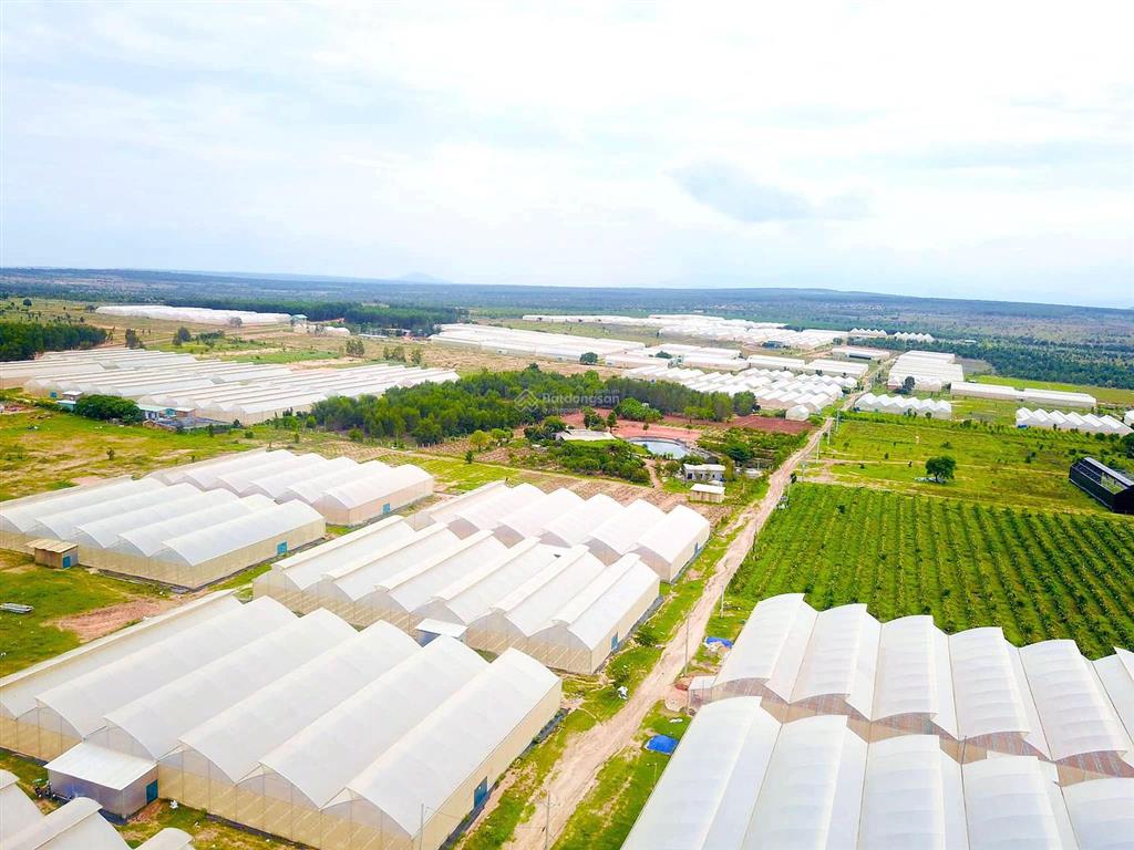 Bán gấp lô hòa thắng liền kề quy hoạch sun group giá siêu ngộp