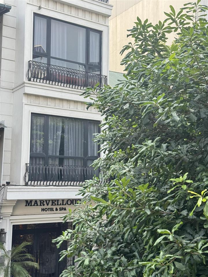 Bán nhà mặt phố đường thành, hoàn kiếm 115m2, chỉ 91 tỷ