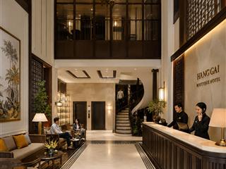 Siêu phẩm  mp hàng gai 486m2. hàng ngon, giá đẹp