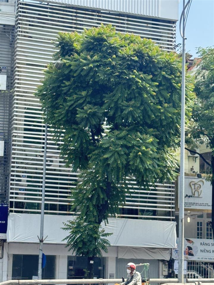 Siêu phẩm  mặt phố trần khát chân, p. hai bà trưng, hà nội. 121m mặt tiền 9.5m. giá đẹp