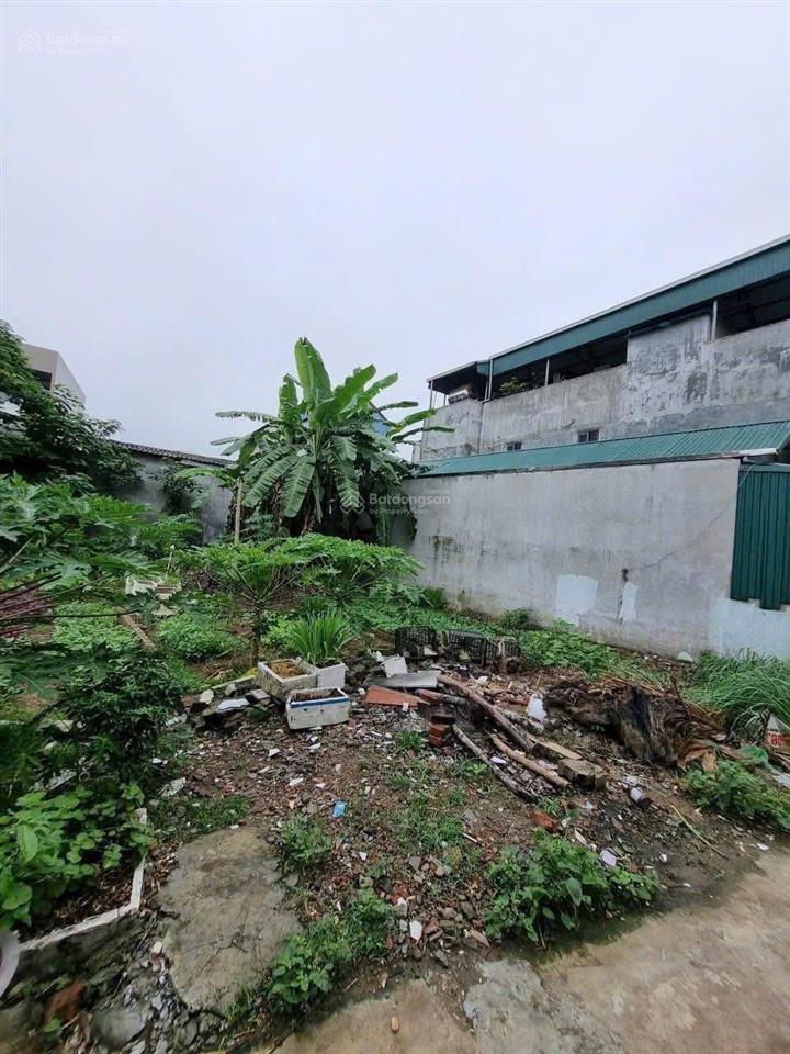 Bán đất phú nhi  quang minh  hà nội | 79,9m² | giá hơn 2 tỷ